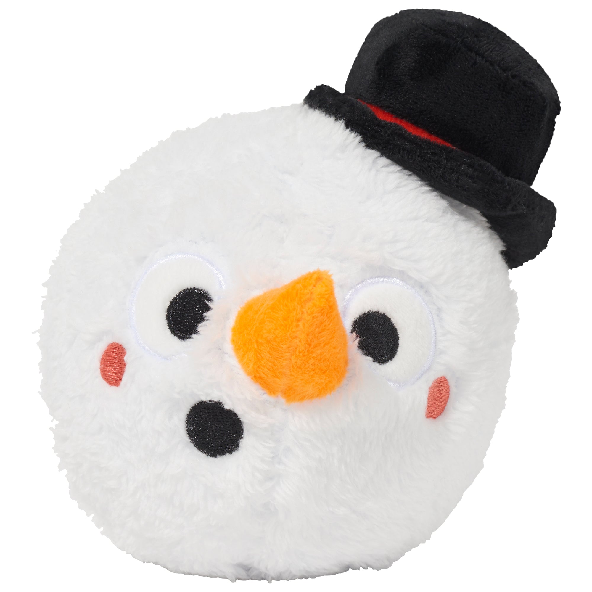 Mr. Ice Guy