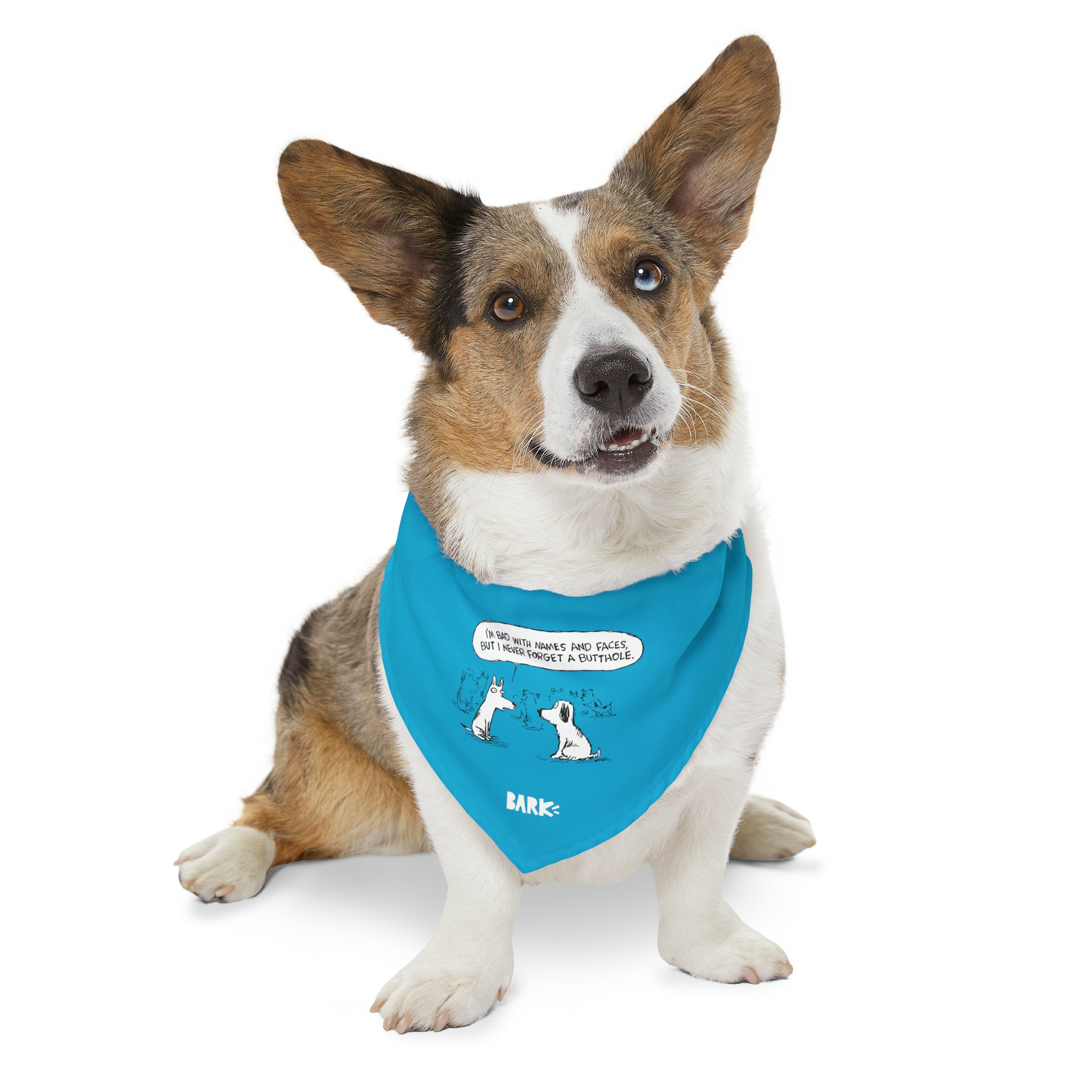 Never Forget a Friend -  Bandana Collar