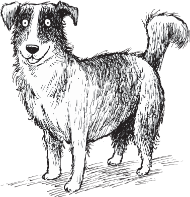 Australian Shepherd - Tote Bag