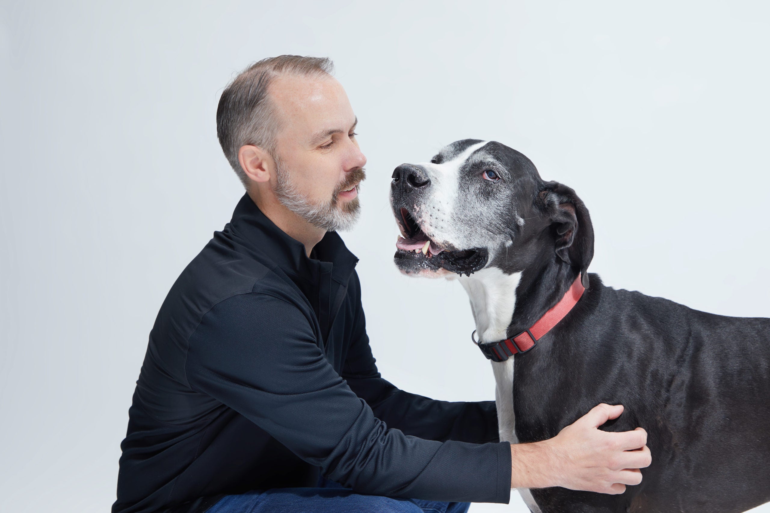 7 Things To Know About Matt Meeker Being BARK's CEO Again