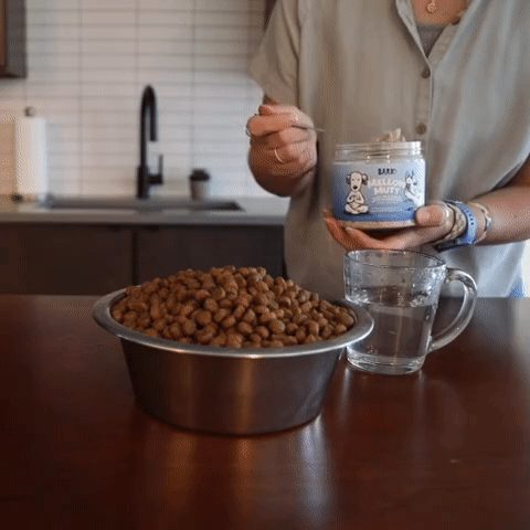 Mellow Mutt Goat Milk Recipe with Blueberries
