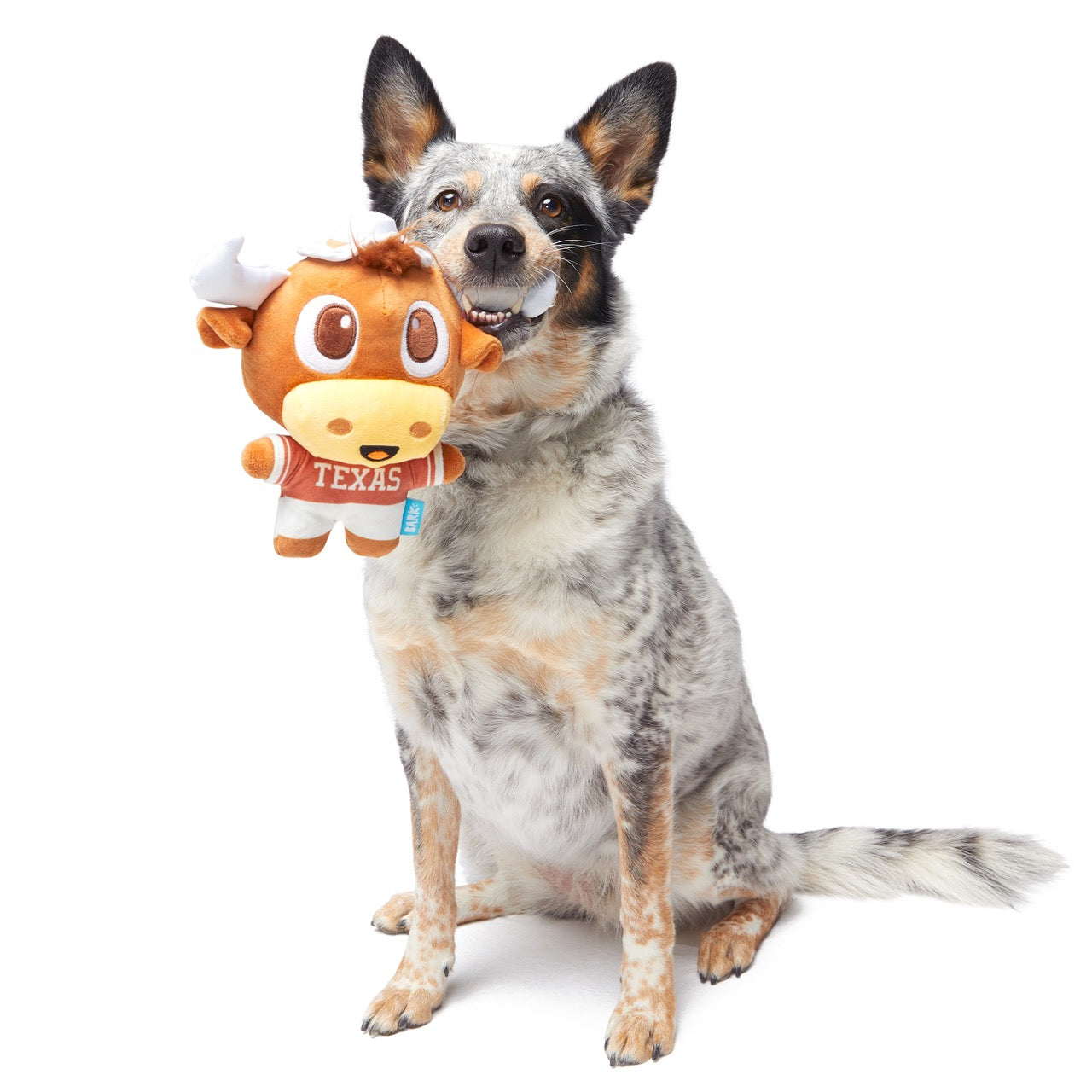 Hook 'Em Toy