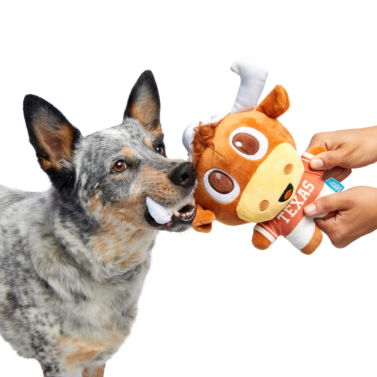 Hook 'Em Toy