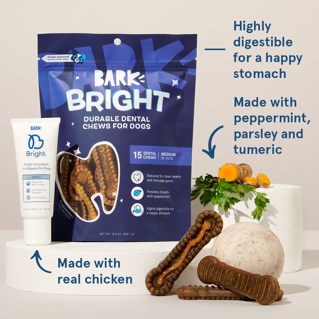 Bright Durable Dental Kit