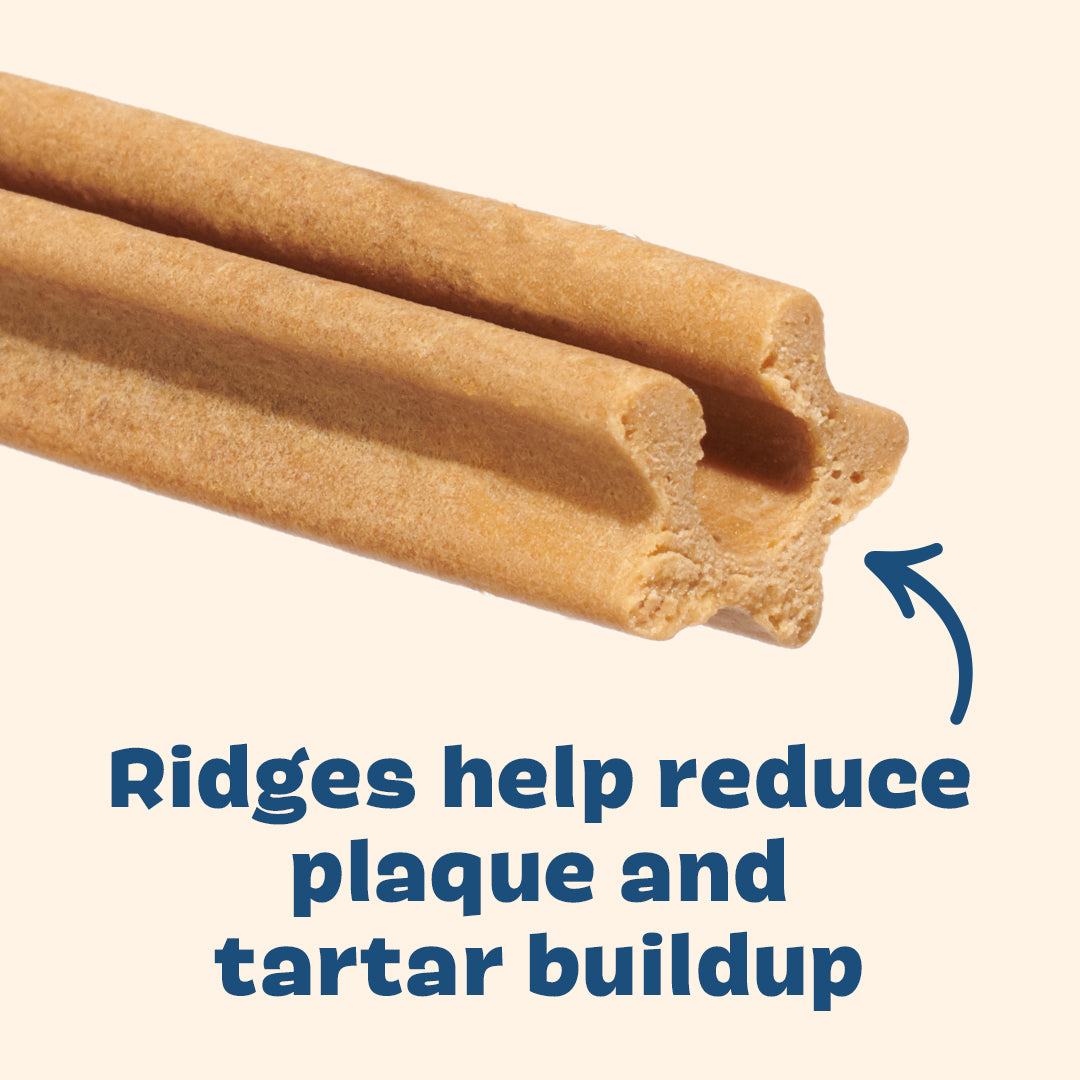 Bright Dental Chews