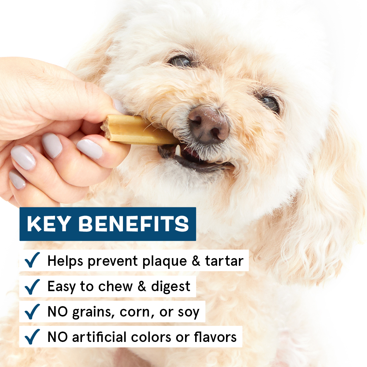 Bright Dental Chews