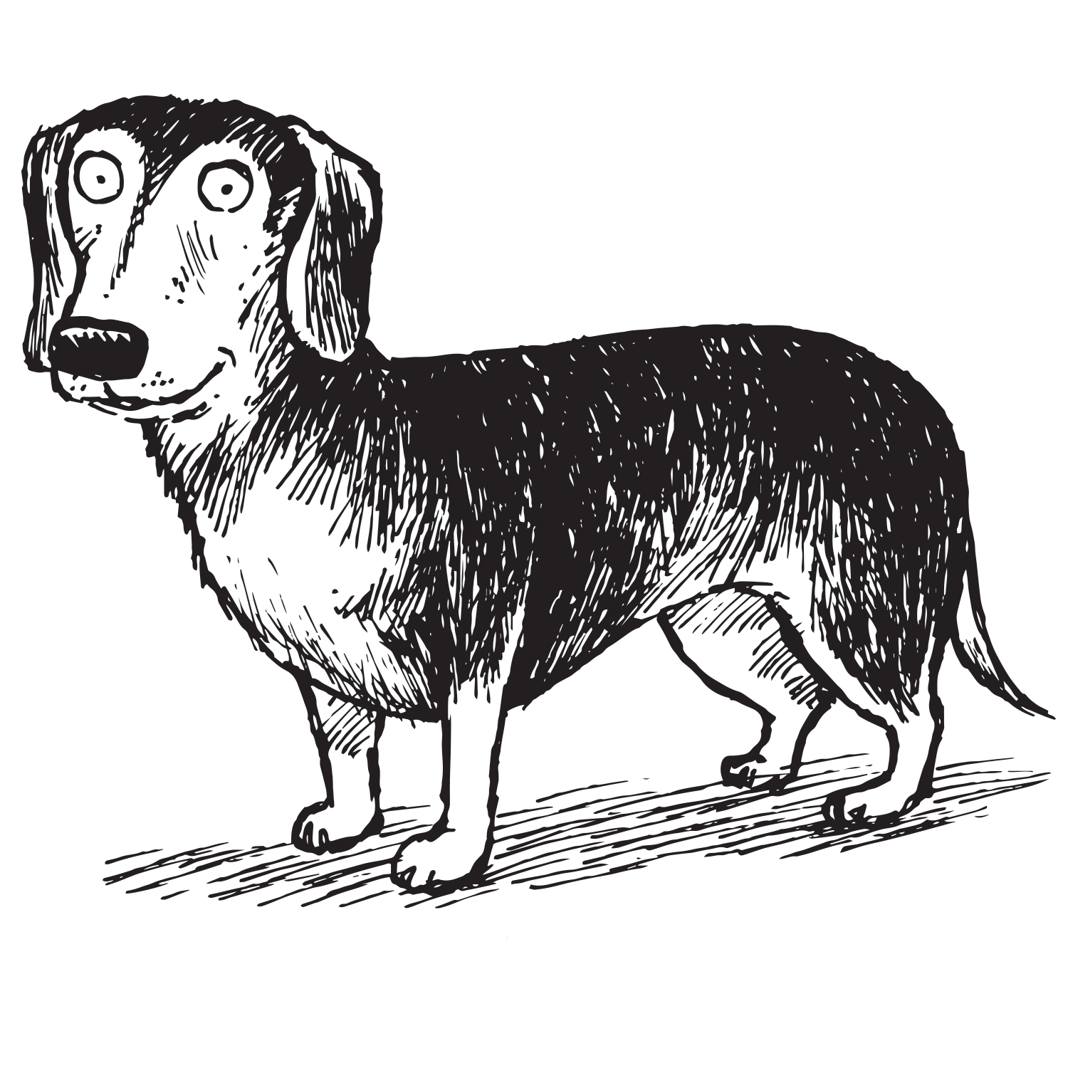 Dachshund - Tote Bag