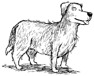 Golden Retriever - Tote Bag