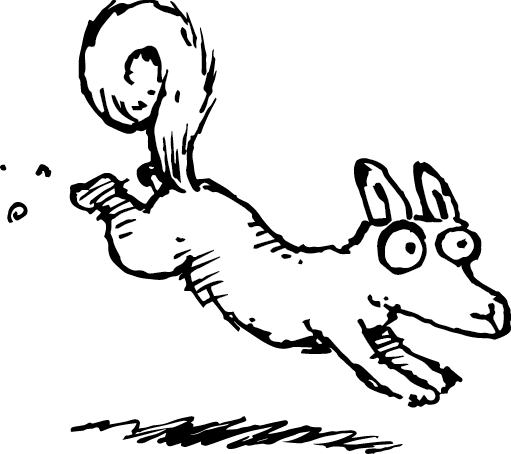 Squirrels - MagSafe Tough Case