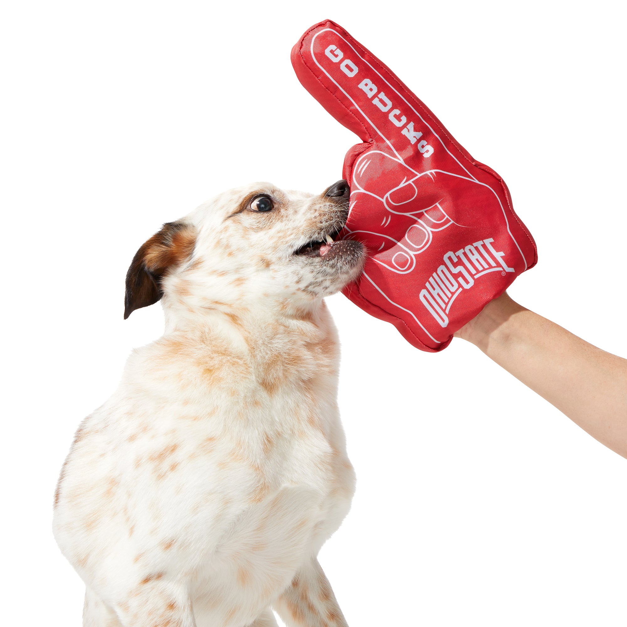 Ohio State Top Dog Toy