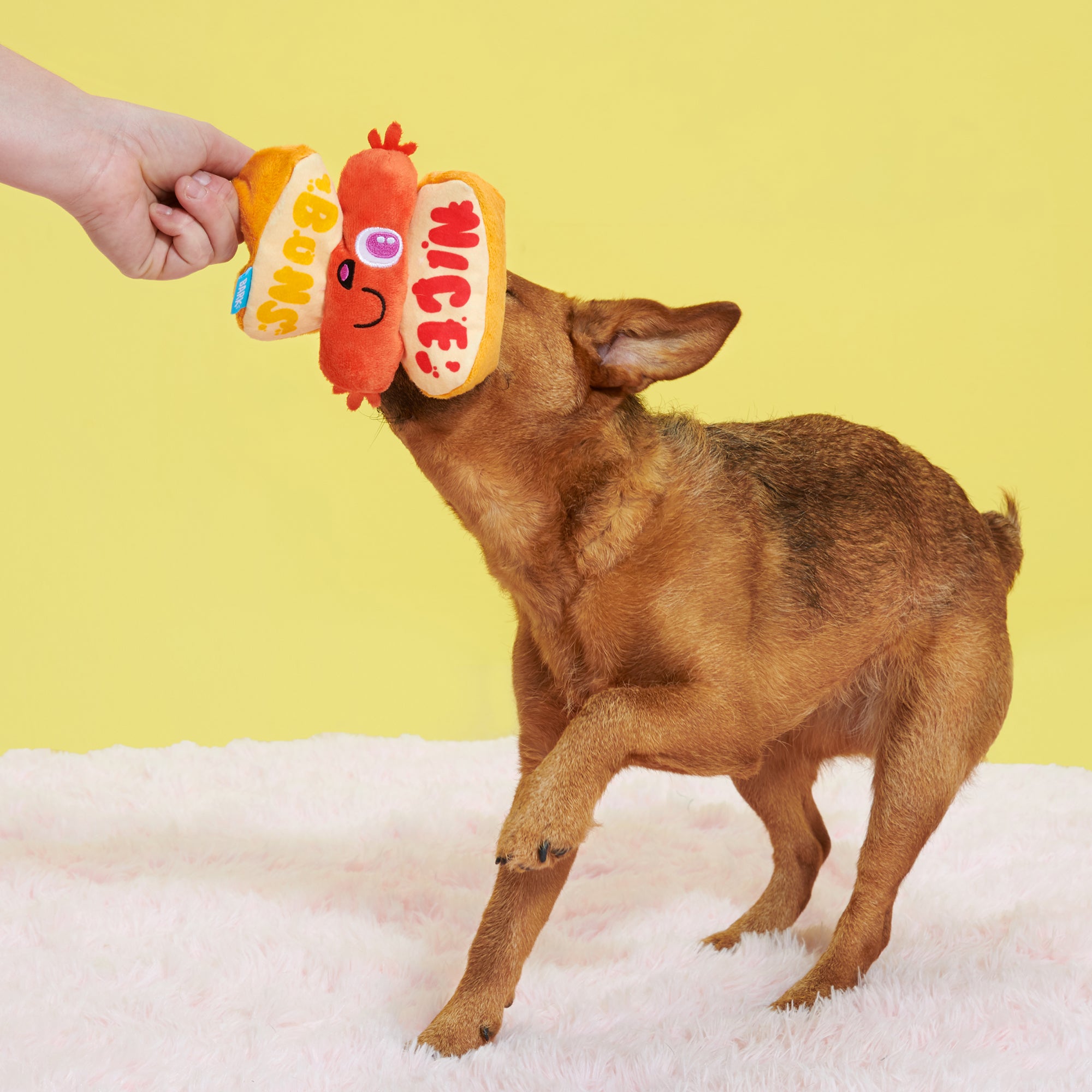 Hawt Dog