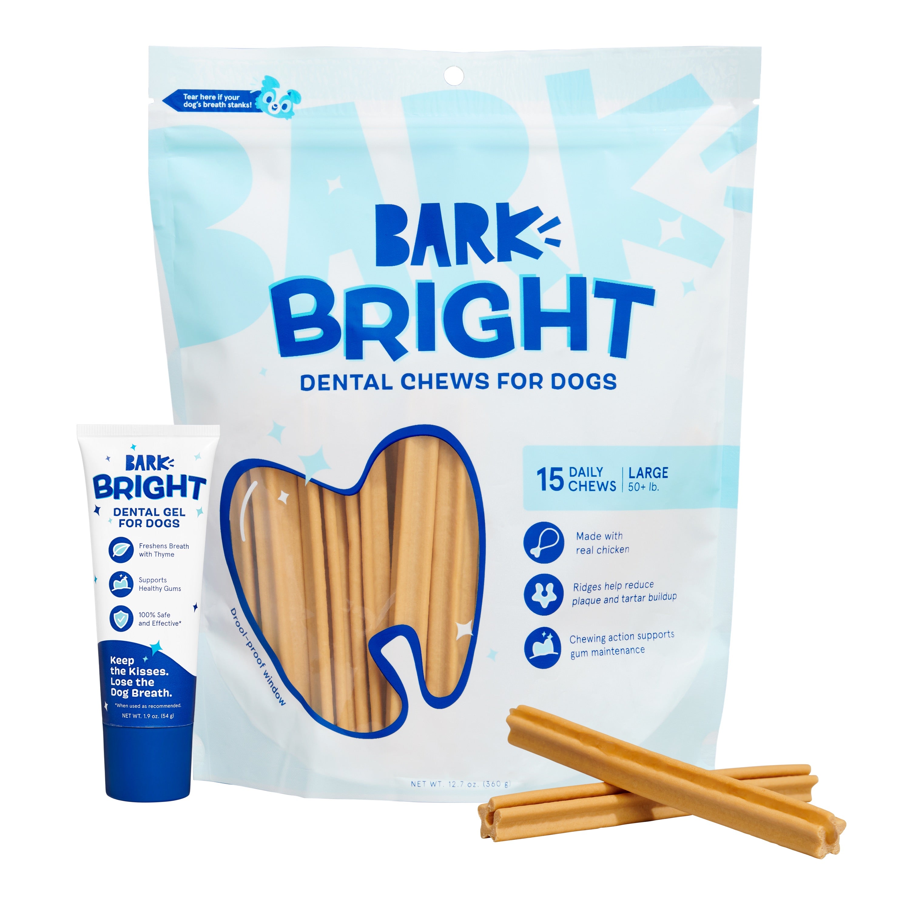 Bright Dental Kit