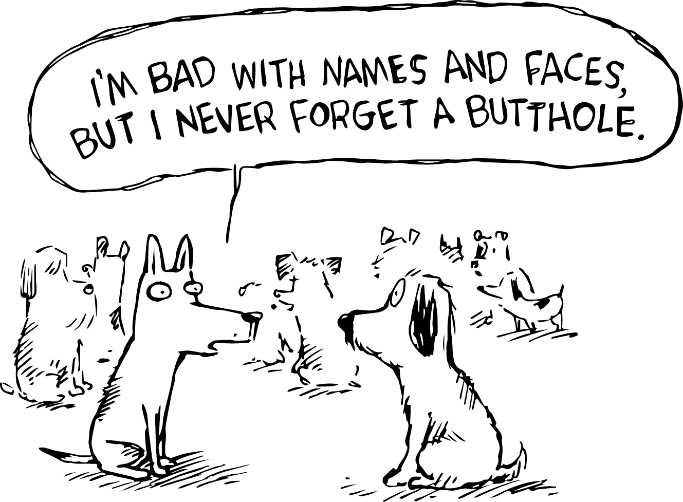 Never Forget a Friend -  Bandana Collar
