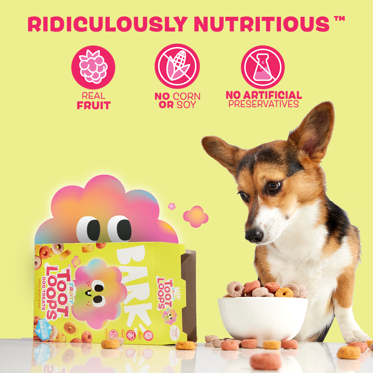 Fruity Toot Loops™ Crunchy Dog Treats - Mixed Berry Blend