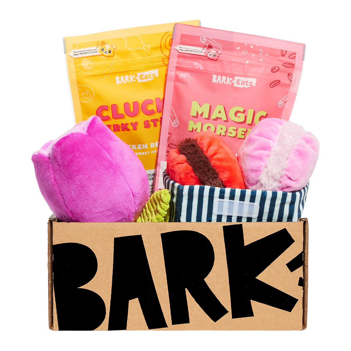 BarkBox 12 Month Subscription