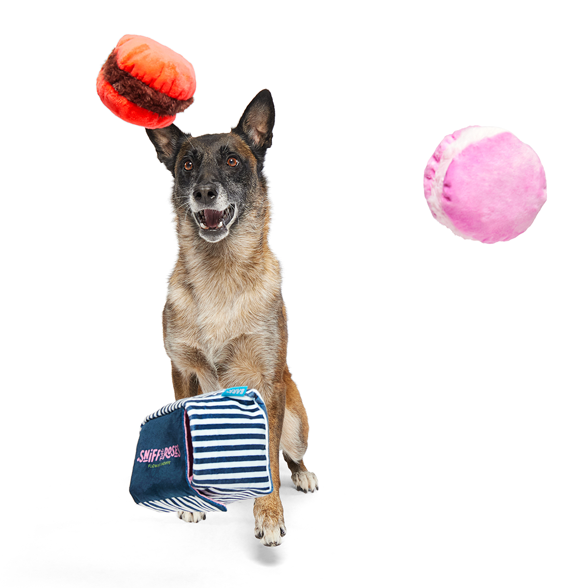 BarkBox 12 Month Subscription