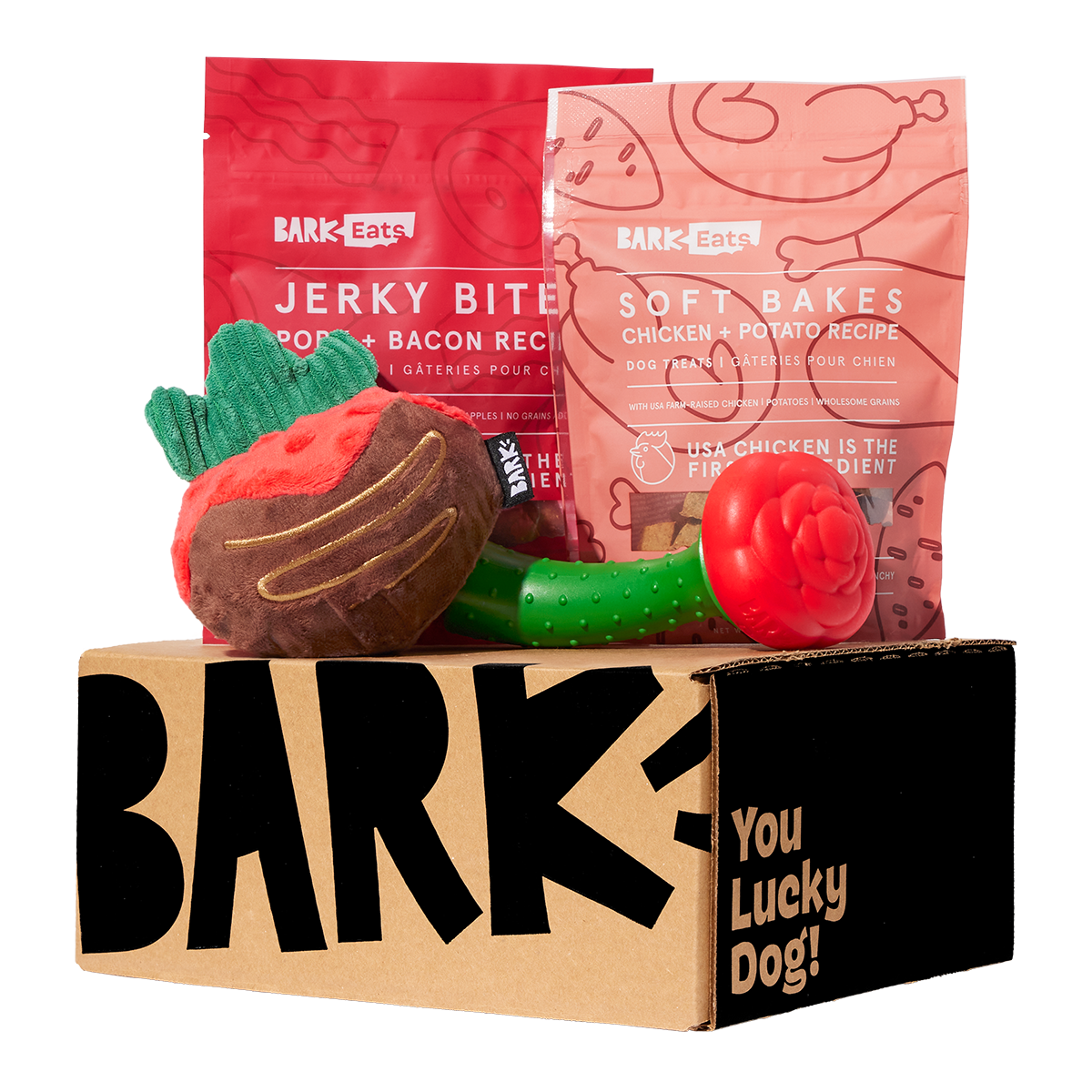 SuperChewer 12 Month Subscription