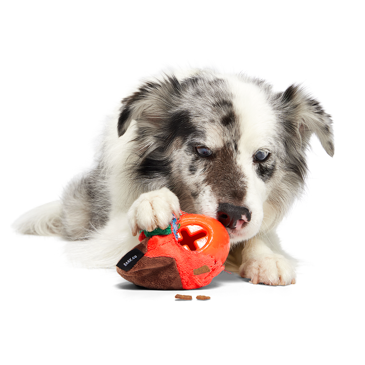 SuperChewer 12 Month Subscription