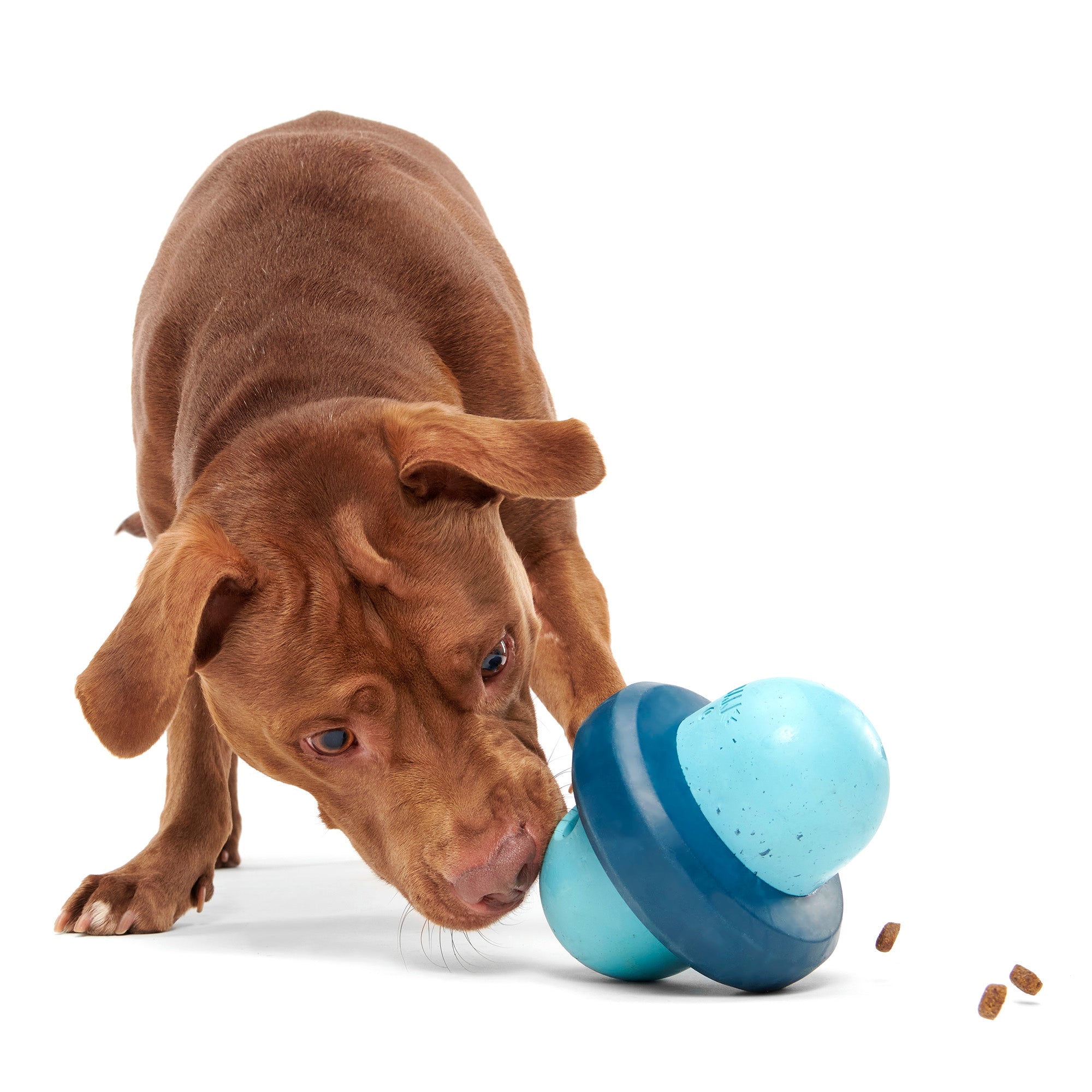 Pivot Puzzle Toy