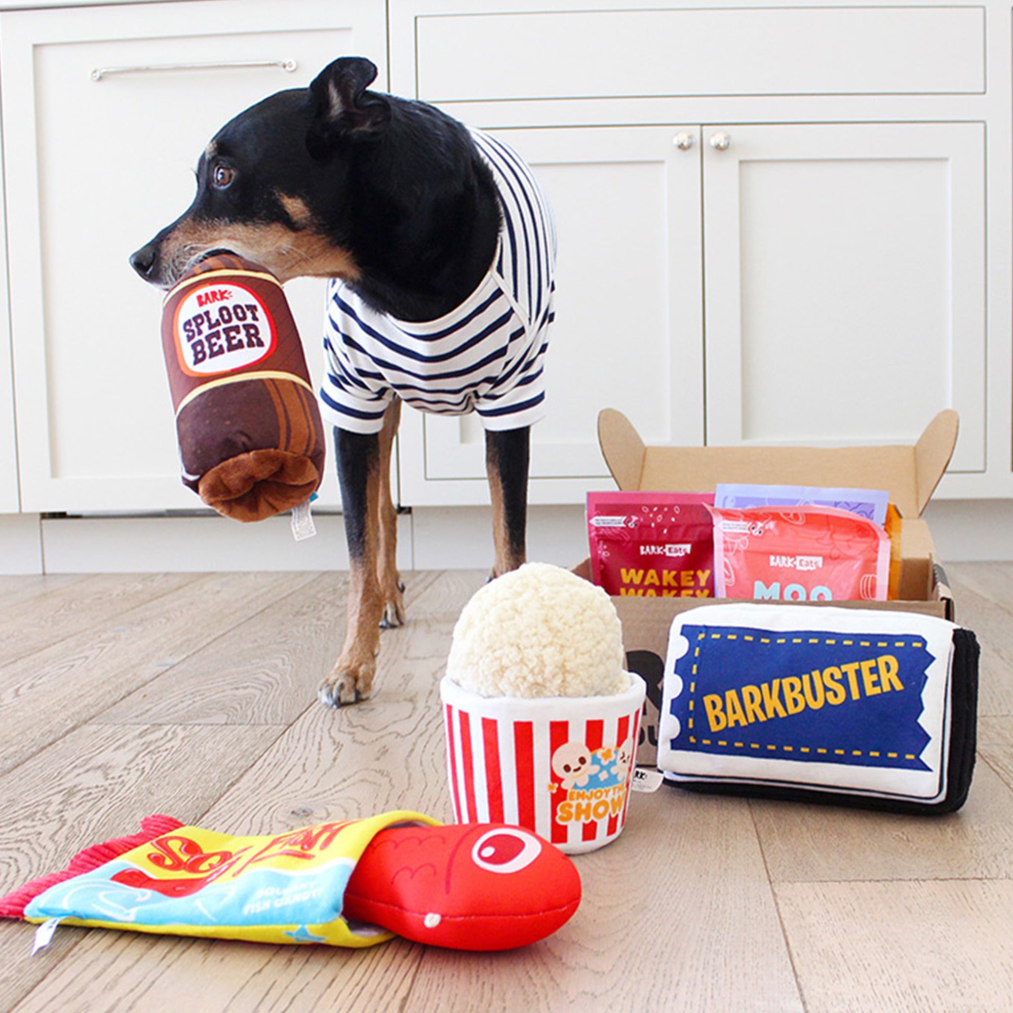 BarkBox 12 Month Subscription