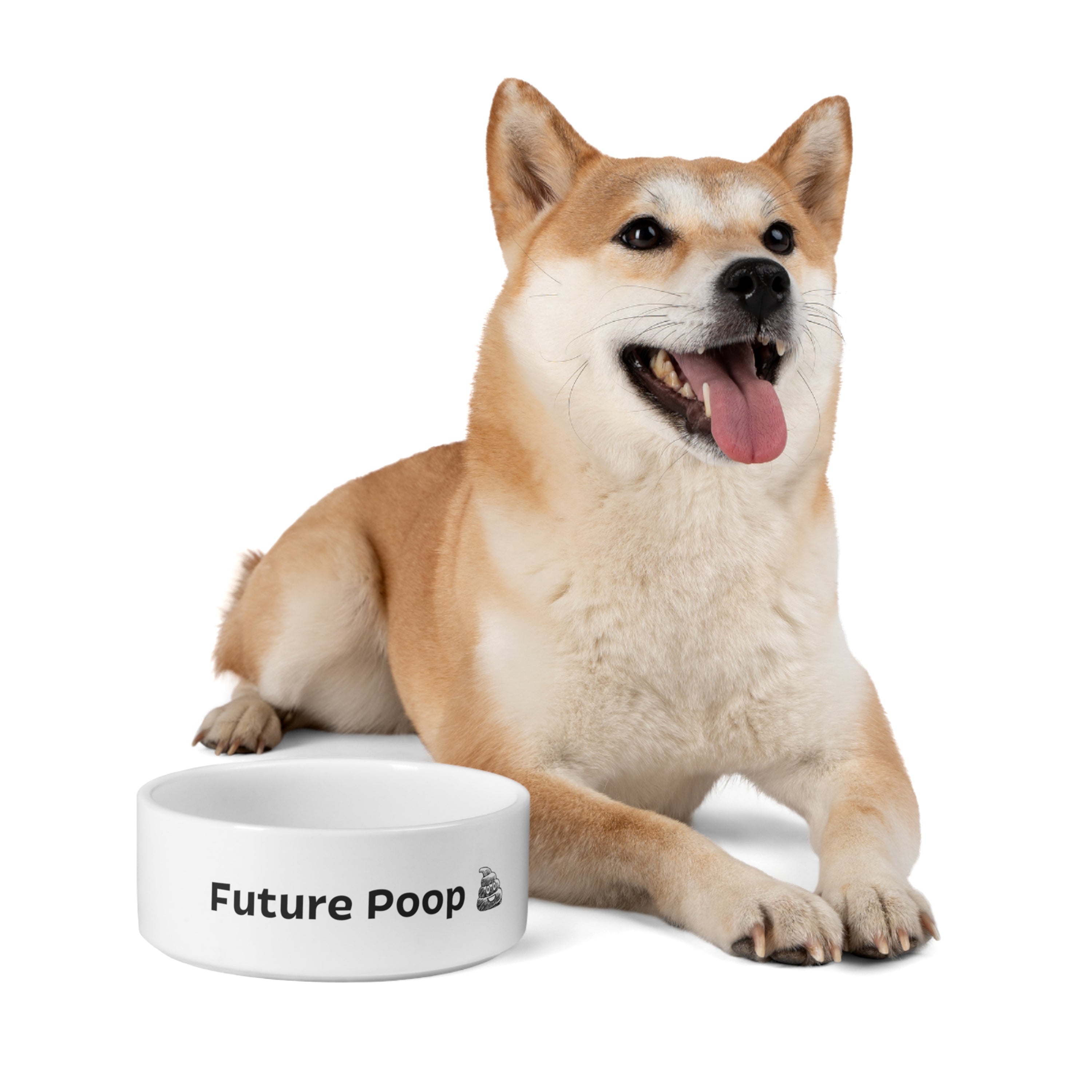 Future Poop Bowl