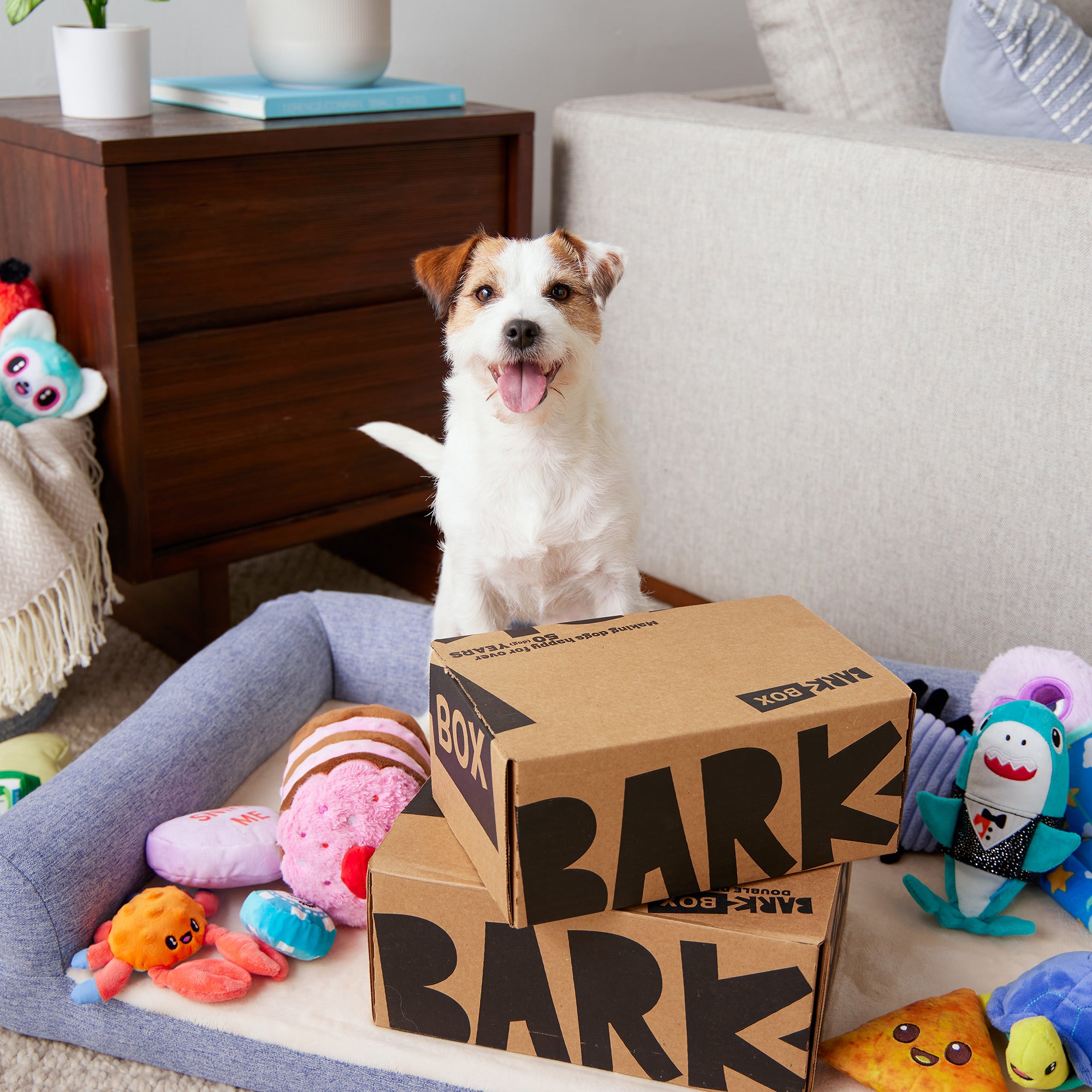 BarkBox 12 Month Subscription