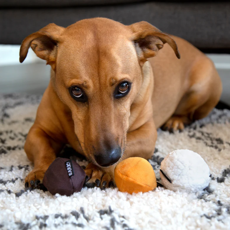 Dunkin' Munchkin® Donut Hole Treats Toy