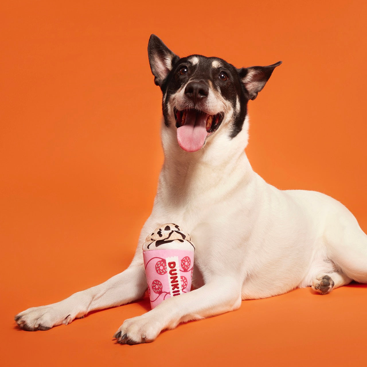 Dunkin'® Mocha Latte Toy