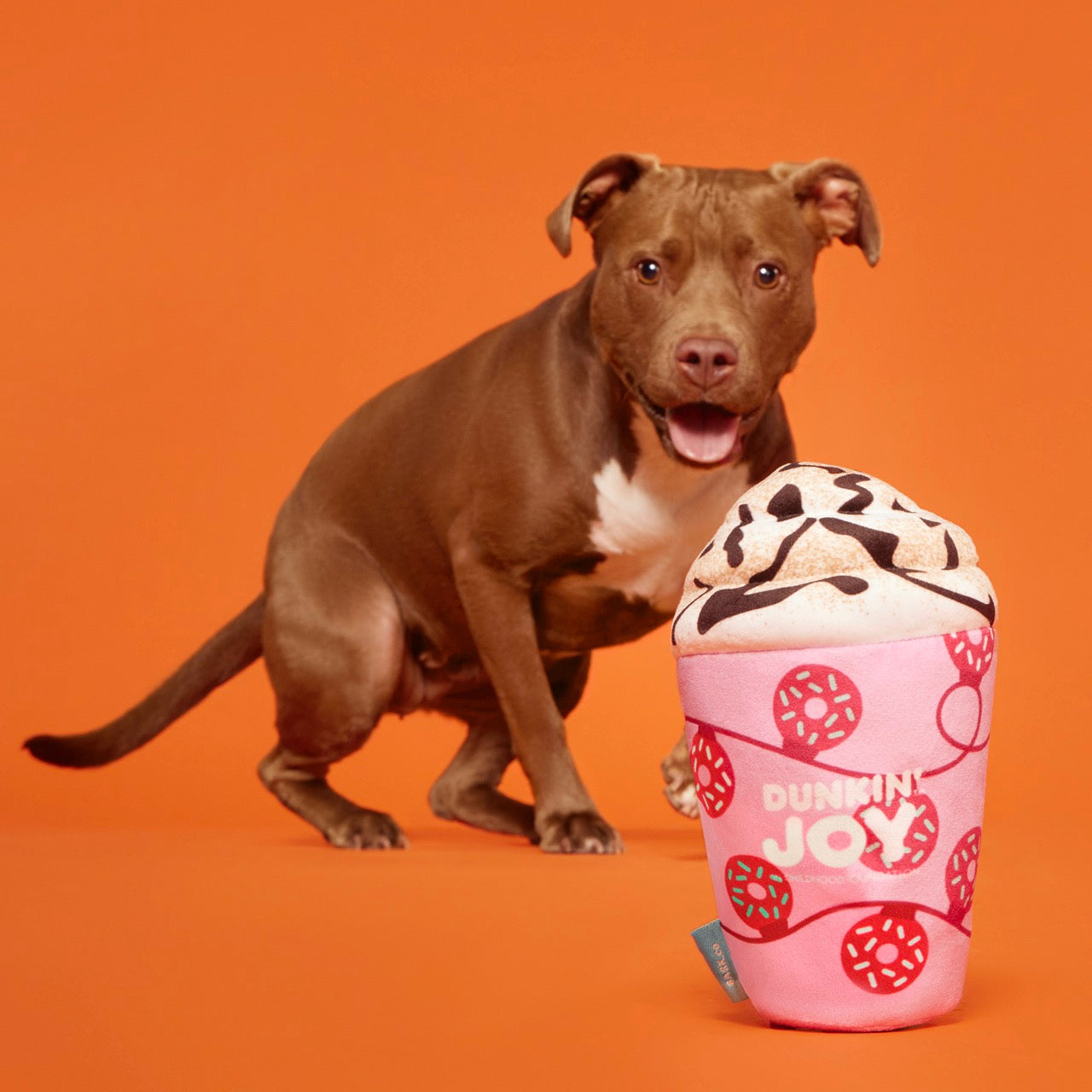 Dunkin'® Mocha Latte Toy
