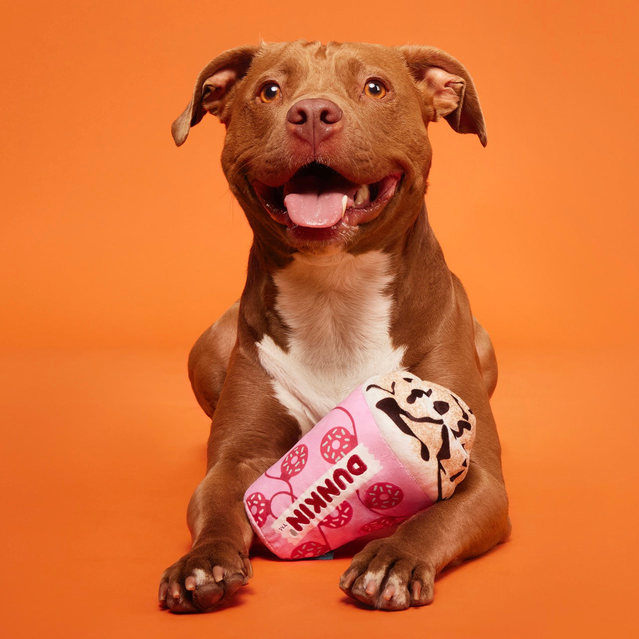 Dunkin'® Mocha Latte Toy