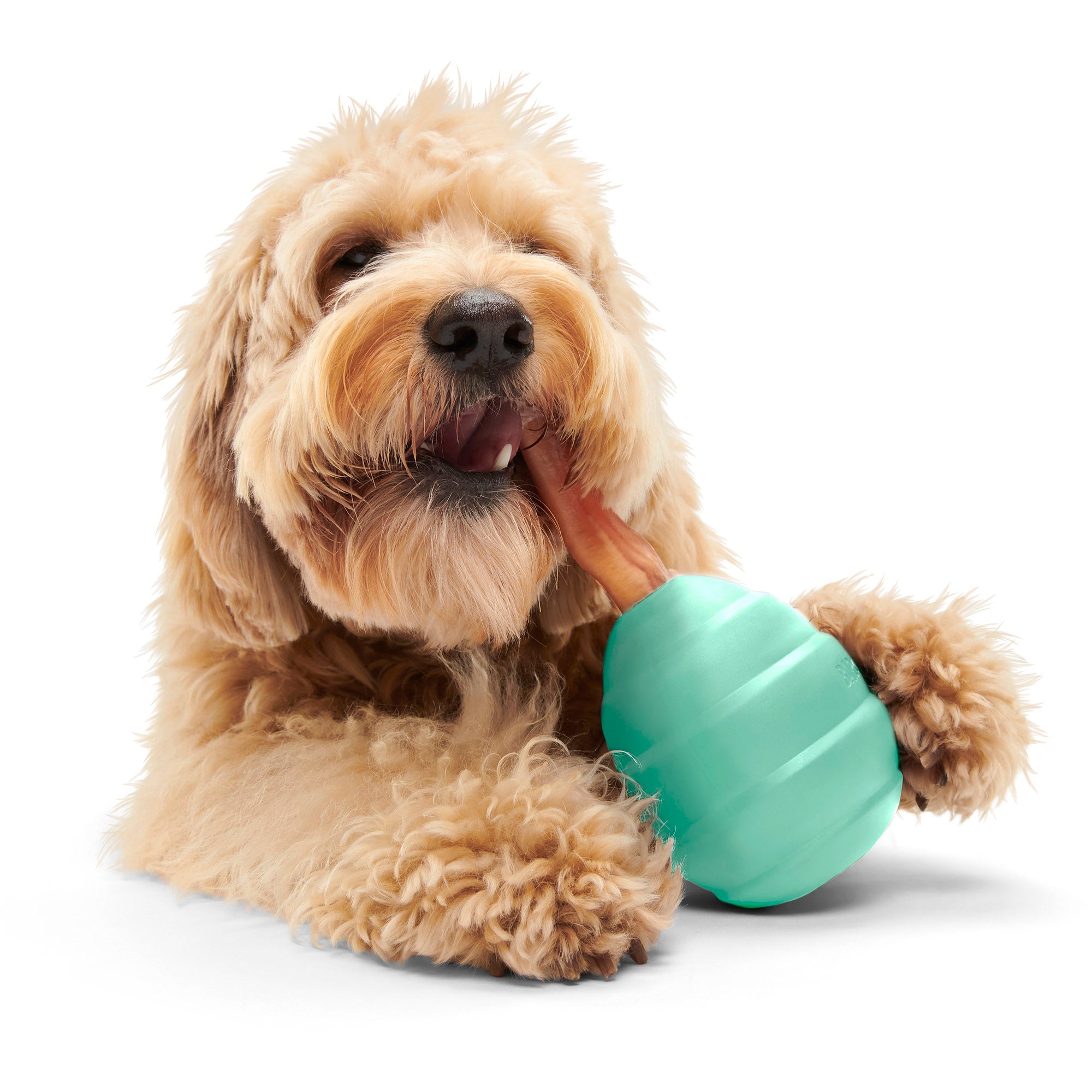 Pup's Treat Pinecone Toy