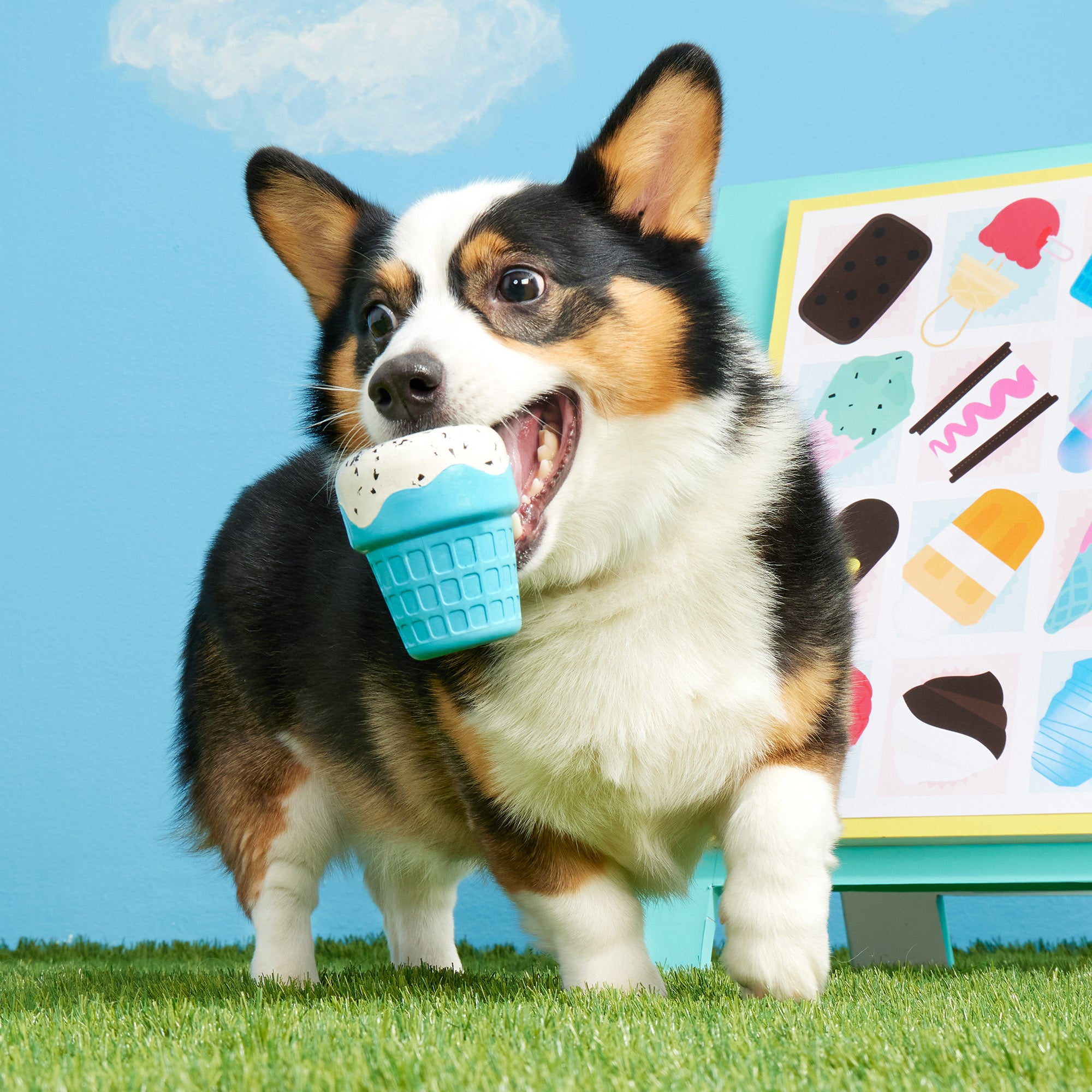 Sugrrr Cone