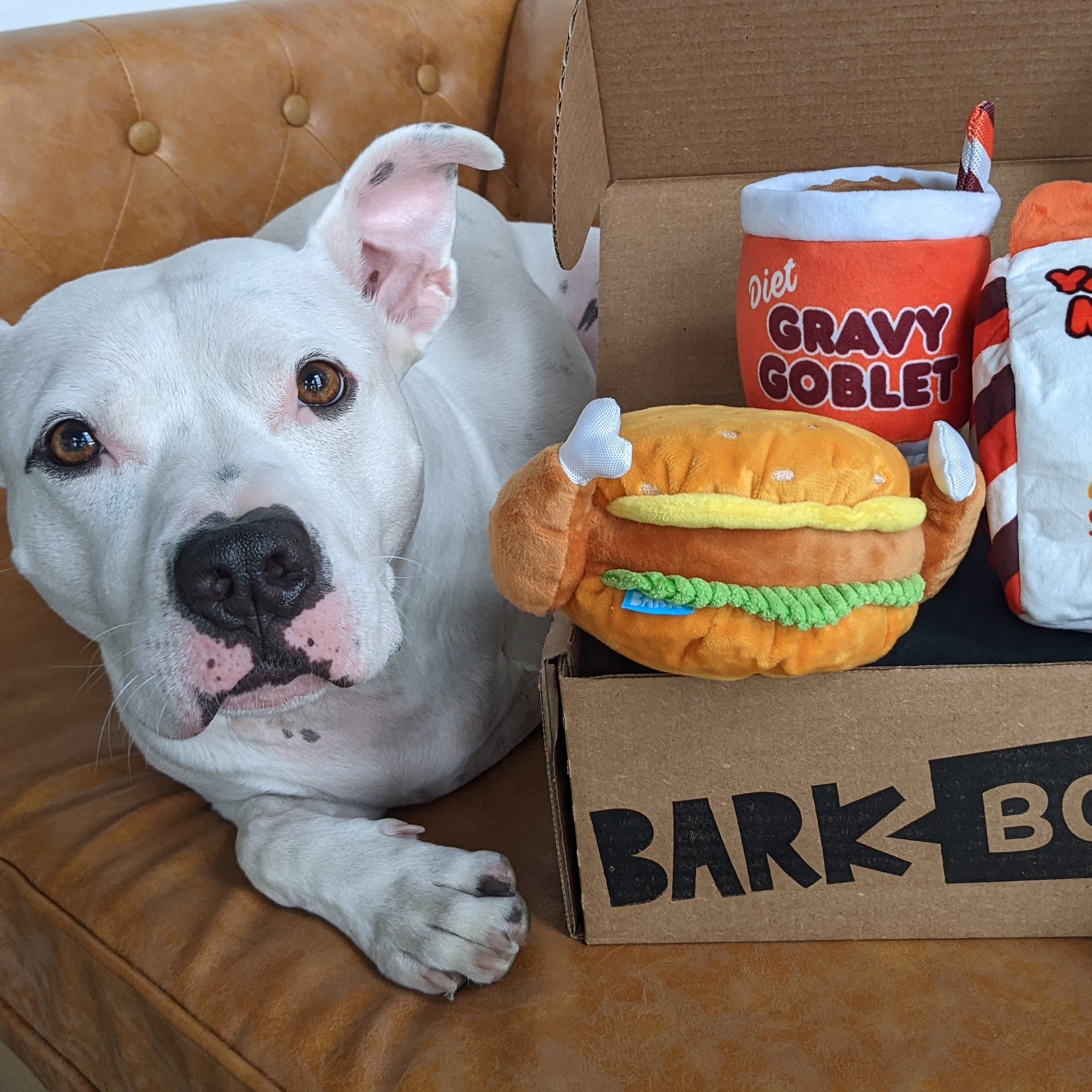 BarkBox 12 Month Subscription